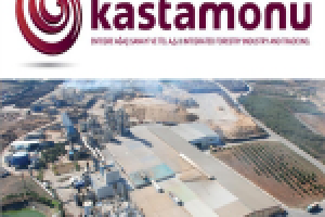 Kastamonu. О лесной отрасли в России и достижениях компании