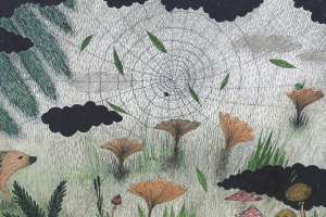 грибы в лесу