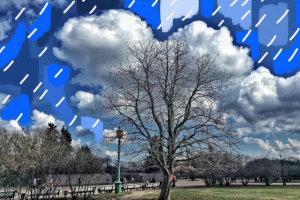 Дерево-небо