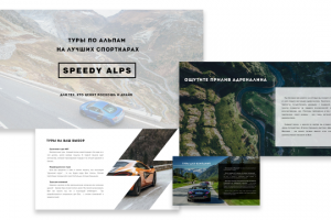 Презентация "Speedy Alps"