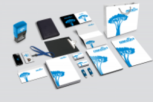 Логотип копировального центра "Сокотра"