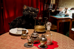 Сценарий для квеста "Рукописи не горят"