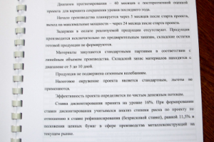 Фрагмент работы