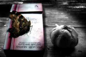 Работа 1495663