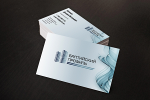 Визитка Балтийский профиль