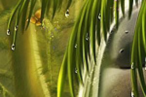 Открытка для форума (1)