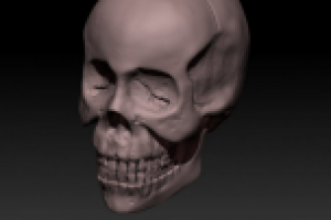 Работа 1845314