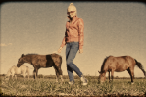 Работа 1249220