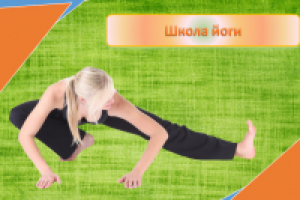 Работа 2223528