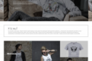 Дизайн ИМ модной одежды и аксессуаров DRIVE LIVE drivelive-store