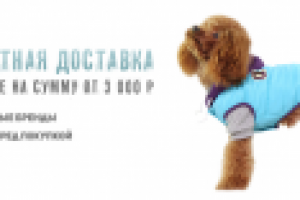 Банер для сайта  www.doggybandanas.ru