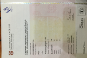 Сертификат Cambridge PET