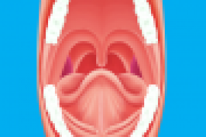 Рот (совместно с Create&Promote)