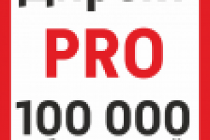 Профессиональная настройка Яндекс.Директа