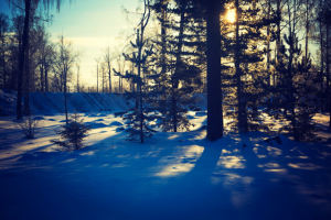 Работа 3500317