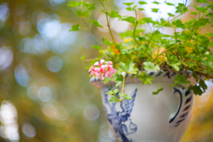 Работа 3500256