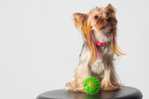 Работа 3500291