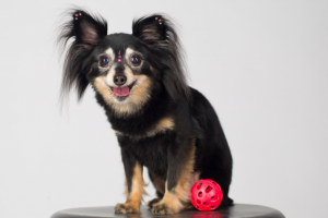 Работа 3500236