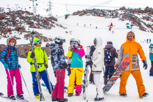 Работа 3500249