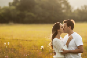 Работа 2882931