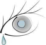 img1056206.png