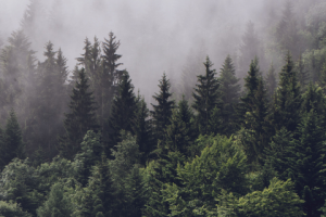 Аранжировка минуса, частотная коррекция