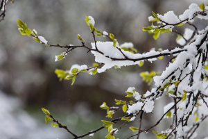 Авторские подложки(фоновая музыка)