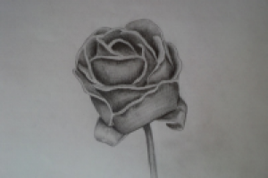 Кованная роза