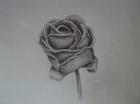 img1500216.png