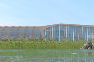 Проект плавательного бассейна