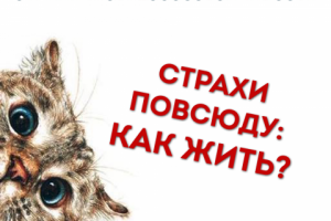 Реклама вебинара