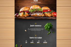 Landing Page — Nisha