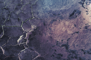 Работа 3504453