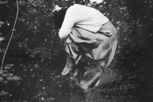 Работа 3504546