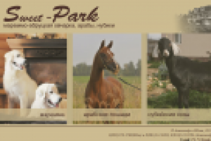 Информационный сайт