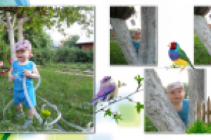 Фотокнига_011