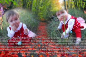 Фотокнига005