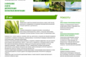 Разработка дизайна сайта природоохранной организации.