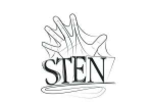 Логотип для муз. исполнителя Sten