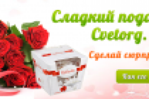 Работа 2231156