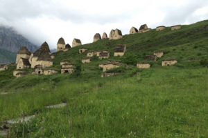 Работа 3195198