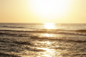 Работа 3195196