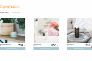 Презентация сайта и продукции