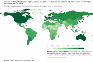 Инфографика для отчета