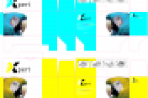 Дизайн упаковки для картриджей