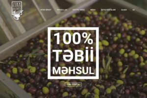 Zira Olives LLC
