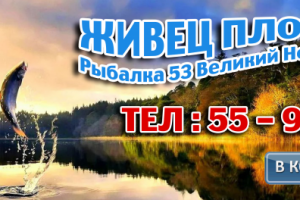 Наклейка на заднее стекло автомобиля