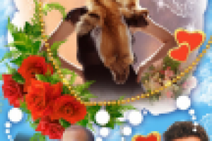 Коллаж для девушки. Открытка