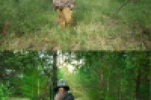 Художественное коллажирование