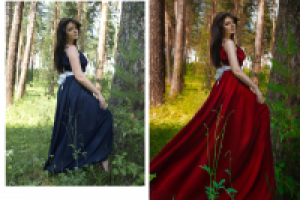 Сказочный лес